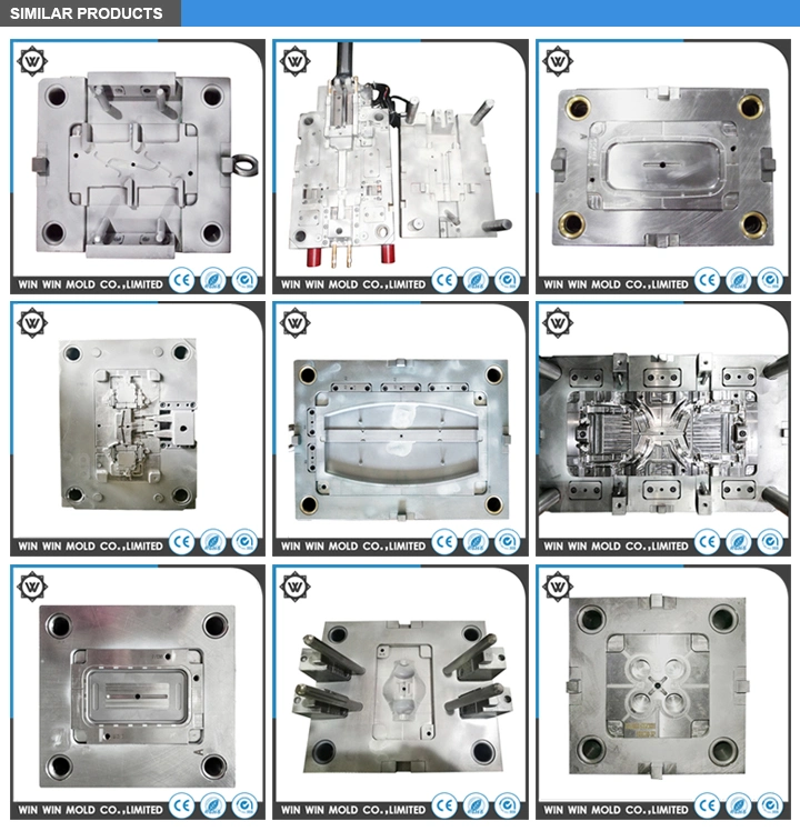 OEM Auto Plastic Casting Injection Mold