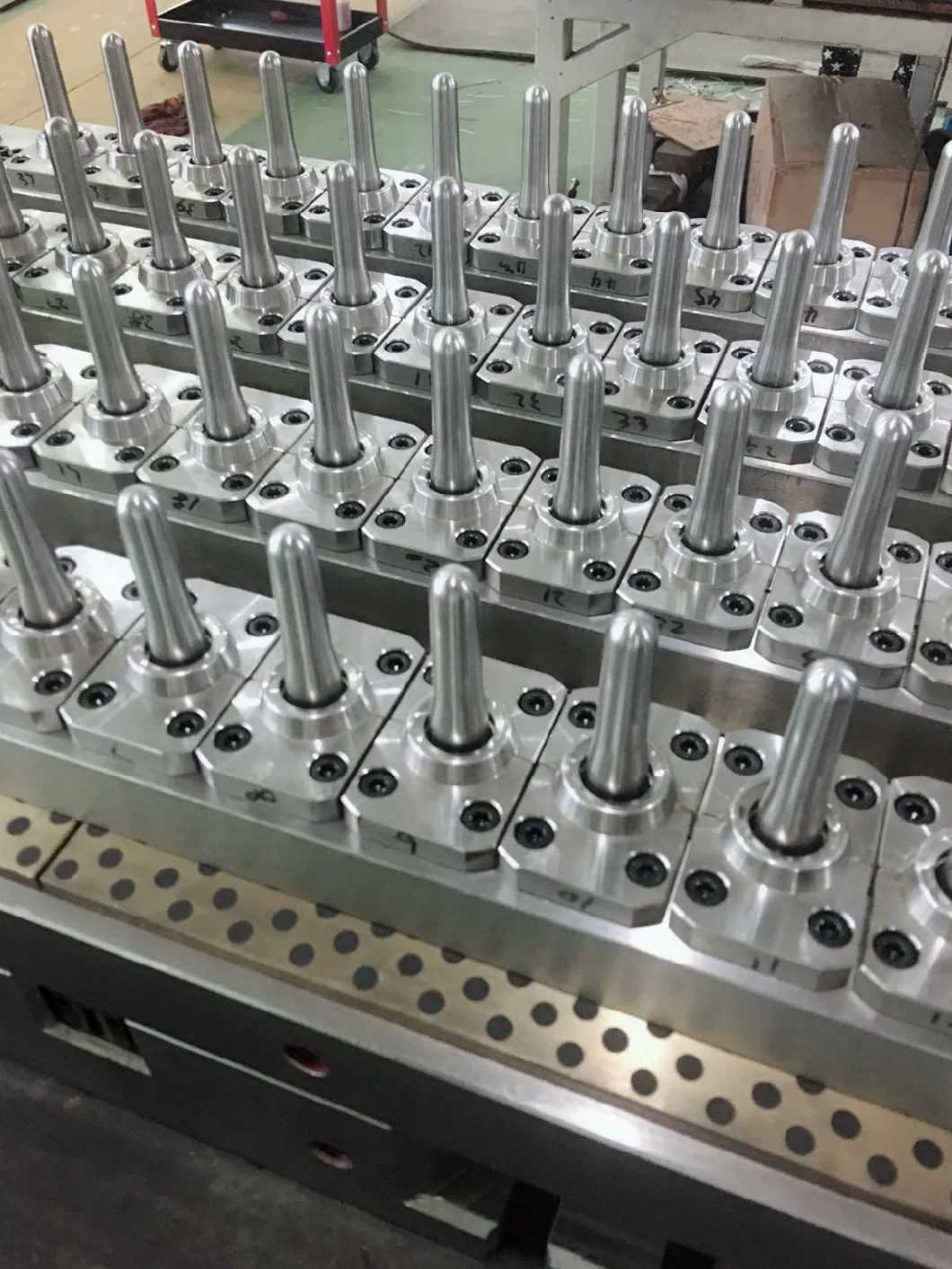 48cavity Injection Pet Mineral Water Preform Mould